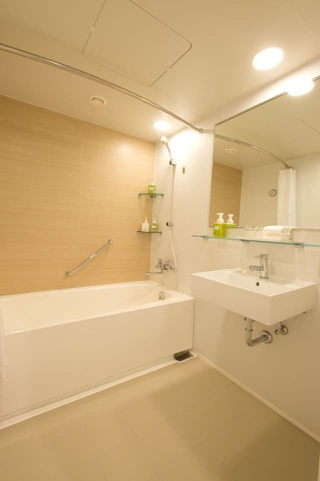 Deluxe Double Room, Non Smoking, City View (35 square meters)