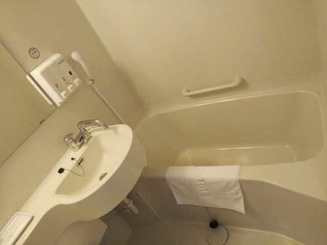 Deluxe Twin Room, Smoking