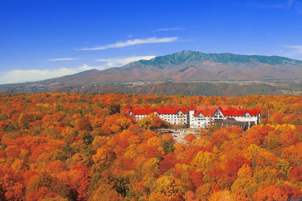 กรีน พลาซ่า คารุอิซาวะ (Green Plaza Karuizawa)2