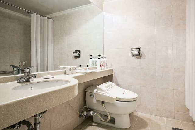 Family Twin Room