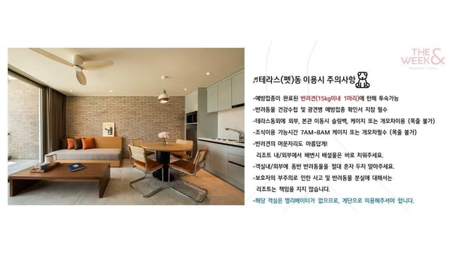 Suite With Terrace - Pet Friendly