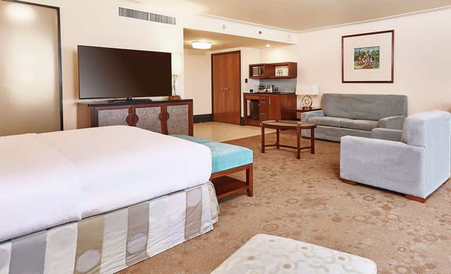 1 KING BED STUDIO SUITE