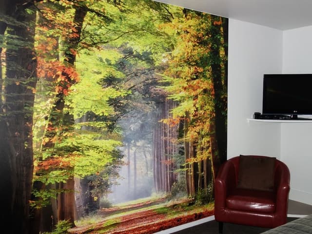 Studio Room