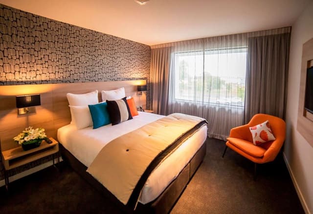 Premium Suite