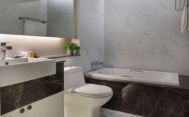 One Bedroom Platinum Plus Suite
