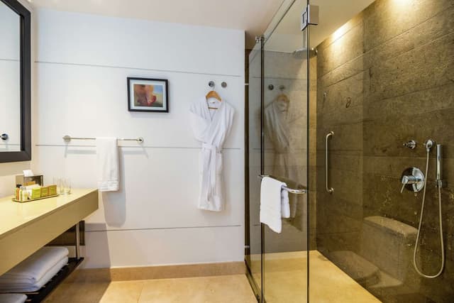 1 BEDROOM SUITE 1 KING BED