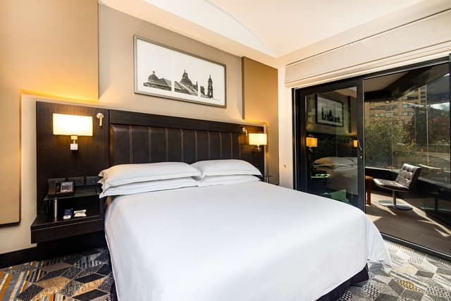 1 BEDROOM SUITE 1 KING BED WITH TERRACE