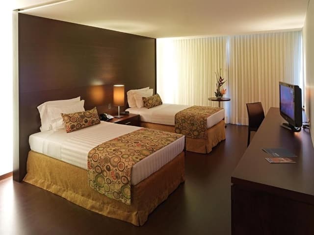 Double or Twin Room