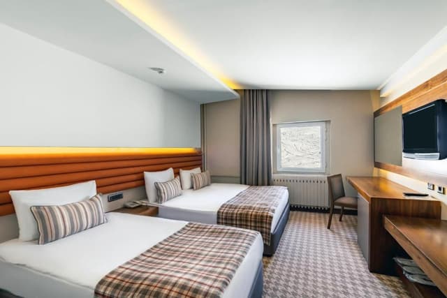 Double Room with Mountain View