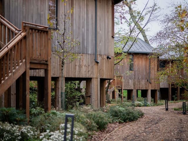 Luxury Tree House, 2 Bedrooms