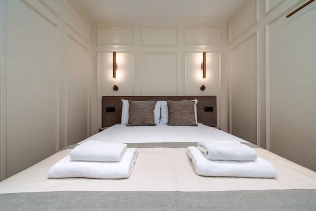 Apartment (Deluxe Double Room)