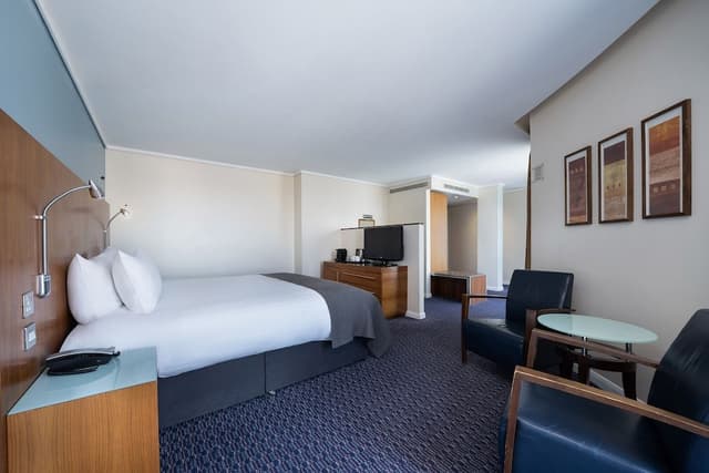 Premium Room, 1 King Bed