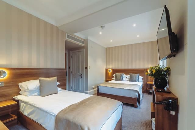 Triple room (1 double bed + 1 single)