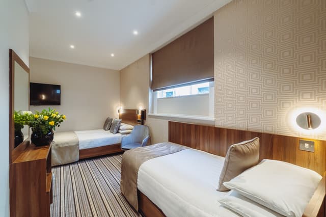 Triple room (1 double bed + 1 single)
