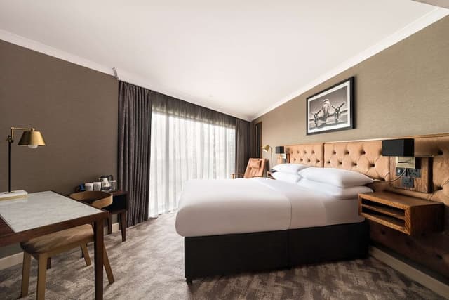 Room, 1 King Bed