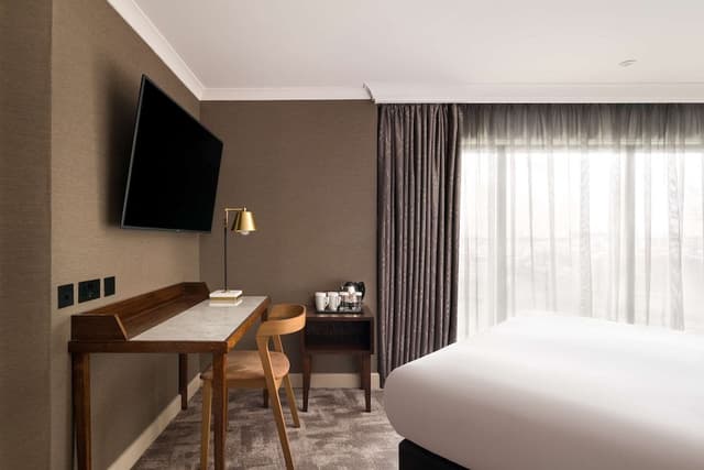 Room, 1 King Bed