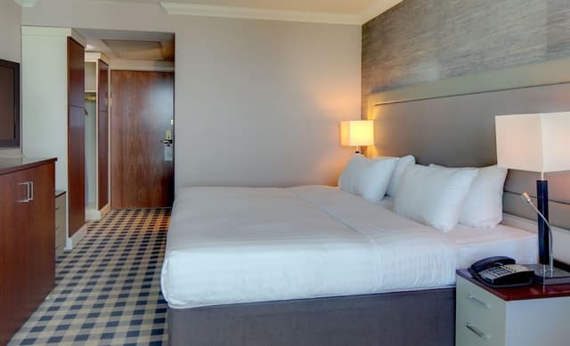 Room, 1 King Bed