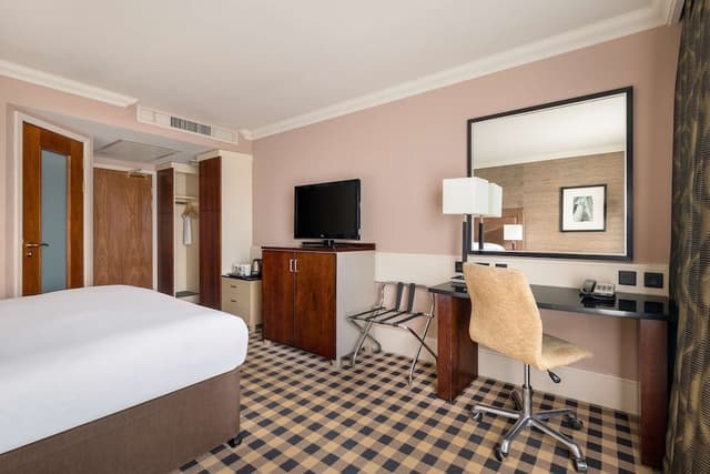 Room, 1 King Bed