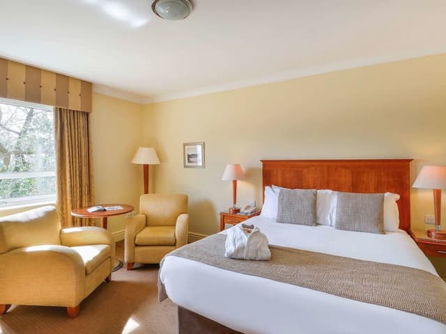Privilege, Room, 1 Double Bed