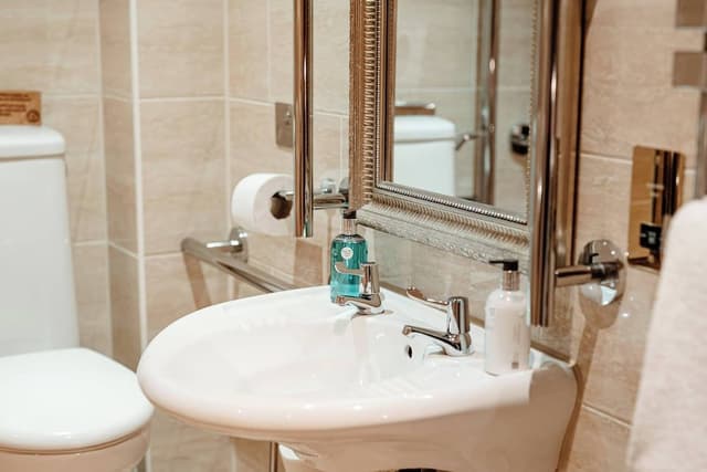 Executive Double or Twin Room