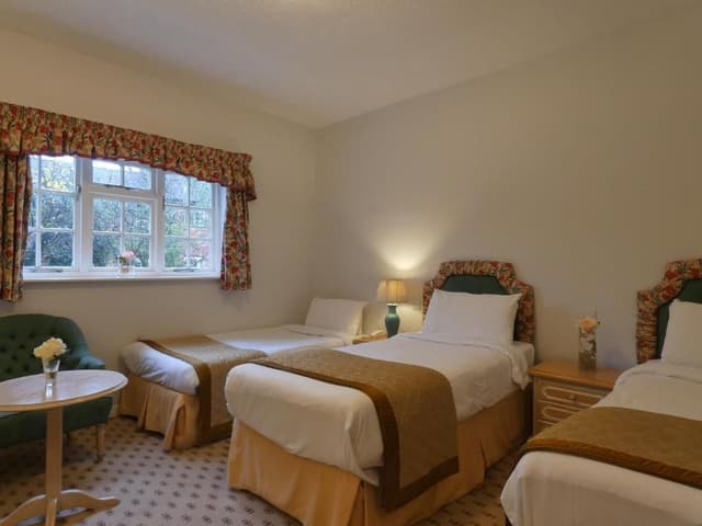 Classic Triple Room
