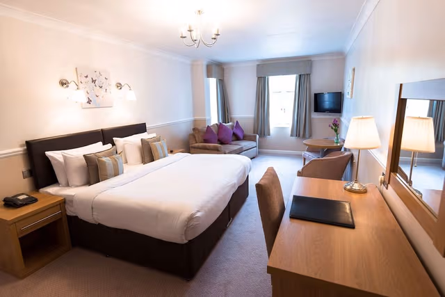 Superior Room, 1 King Bed, Non Smoking