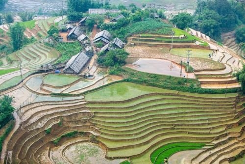โทแปซ อีโคลอดจ์ (Topas Ecolodge)1
