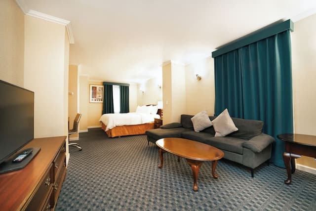 1 King Bed