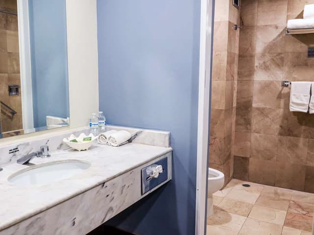 Suite-1 King Bed, Non-Smoking, Flat Screen Television, Kitchenette, Coffee Maker, Iron And Ironing Board, Wi-Fi, Full Breakfast