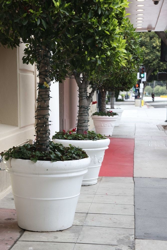 Hotel Carmel3
