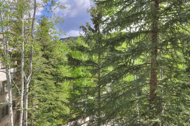 Premier Condo, 1 Bedroom