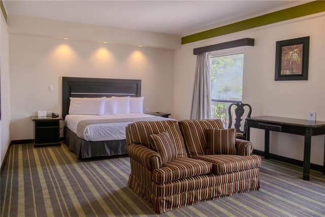 Suite-1 King Bed, Non-Smoking, Microwave And Mini-Refrigerator, High Speed Internet Access, Coffee Maker, Continental Breakfast