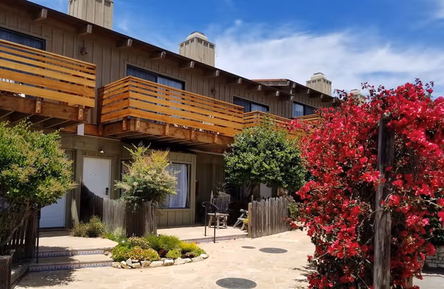 Standard Room, 1 King Bed, Mountain View