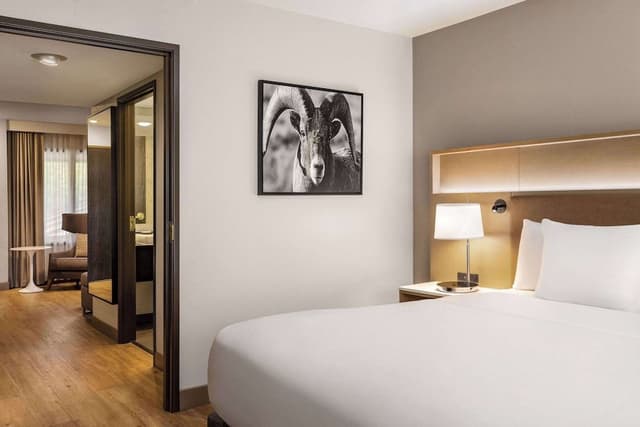 Suite, 1 Bedroom, Non Smoking
