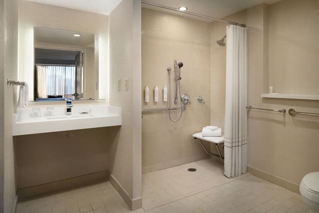 Club Room, 1 King Bed
