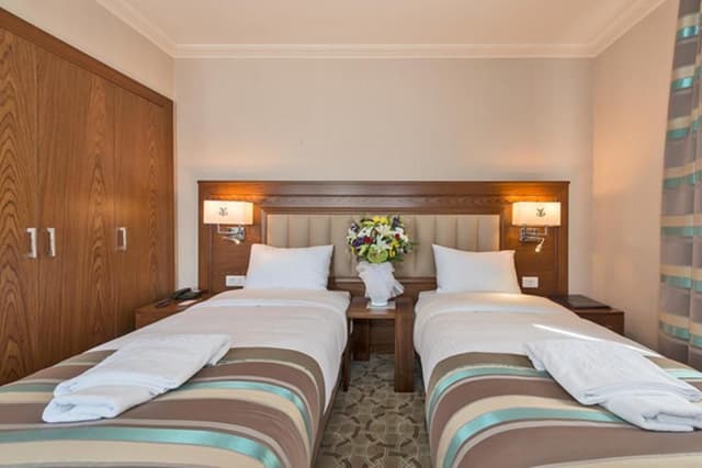 Deluxe Double or Twin Room