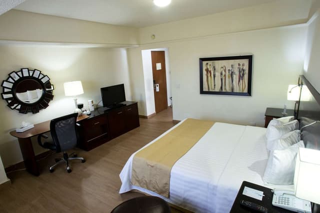 1 King Bed, Non-Smoking