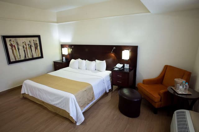 1 King Bed, Non-Smoking