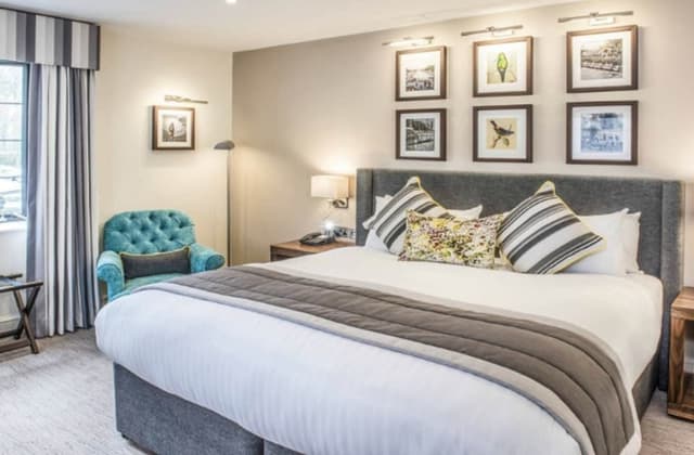 Premium Room, 1 King Bed, Garden View