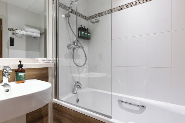 Premium Room, 1 King Bed, River View