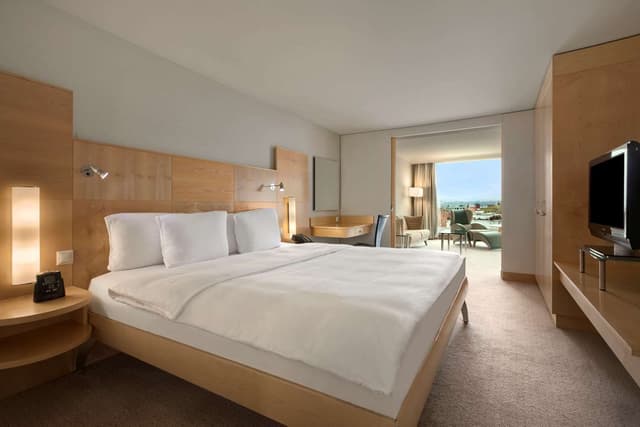 KING RELAXATION SUITE WITH LOUNGE ACCESS