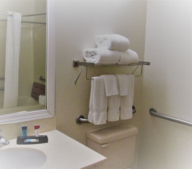 Standard Room, 1 King Bed, Accessible, Non Smoking