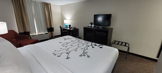 Standard Room, 1 King Bed, Non Smoking