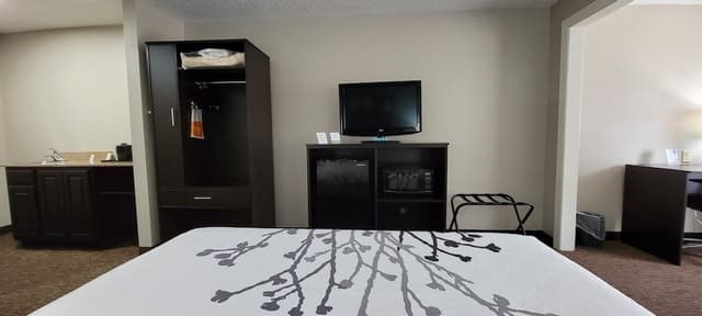 Suite, 1 King Bed with Sofa bed, Non Smoking