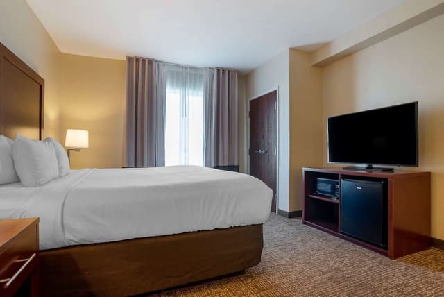 Suite, 1 King Bed, Non Smoking