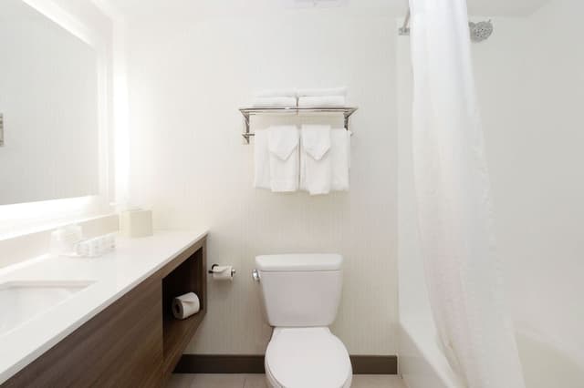 Suite, 1 Bedroom
