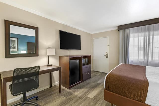 Standard Room, 1 King Bed, Non Smoking, Refrigerator & Microwave (with Single Sofabed)