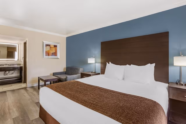 Standard Room, 1 King Bed, Non Smoking, Refrigerator & Microwave (with Single Sofabed)