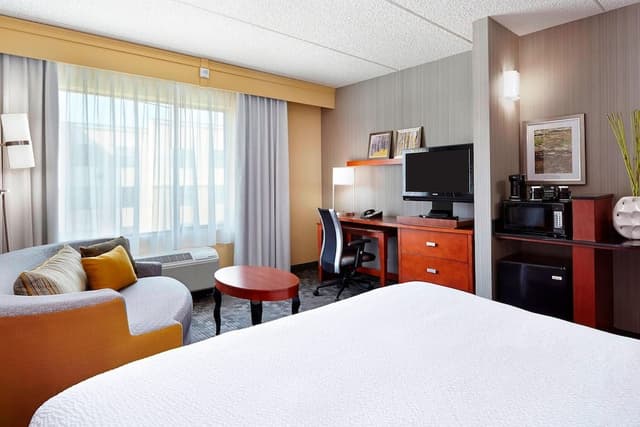 Room, 1 King Bed with Sofa bed