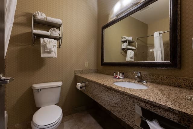 Studio Suite, 1 King Bed with Sofa bed, Non Smoking